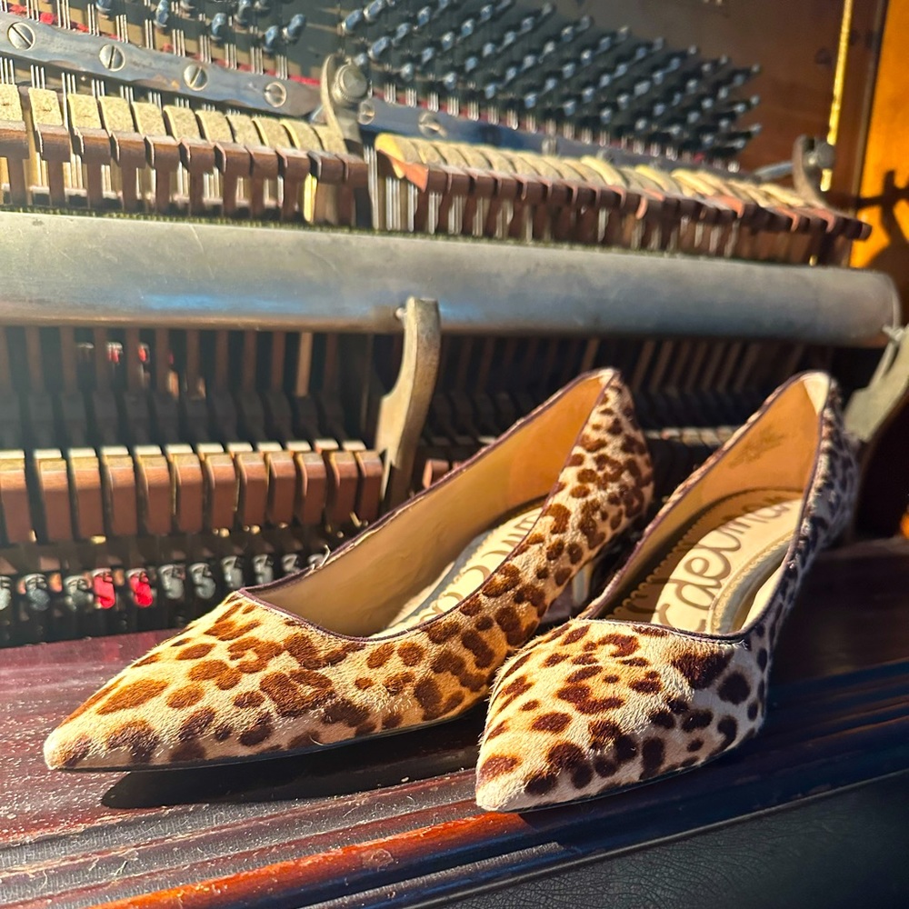 SAM EDELMAN KITTEN HEEL LEOPARD PONYHAIR size 7.5 worn once. No scuffs or wear